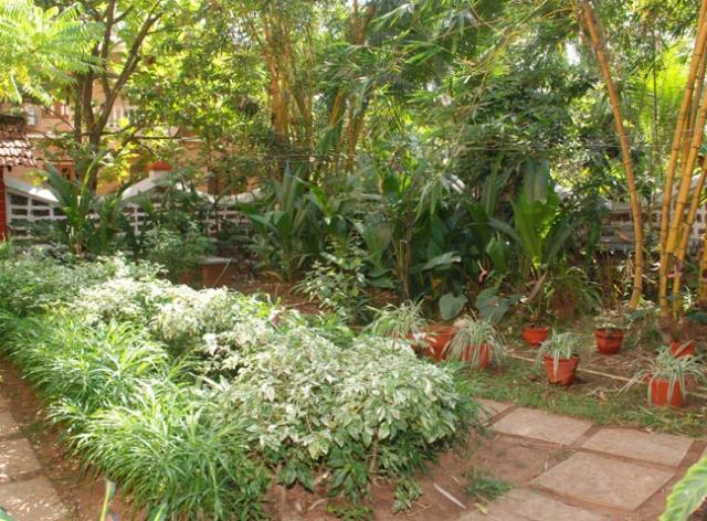 Pinto Guest House Candolim Exterior photo